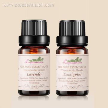 Aromatherapy Essential Oils 6 Set New Products 2018